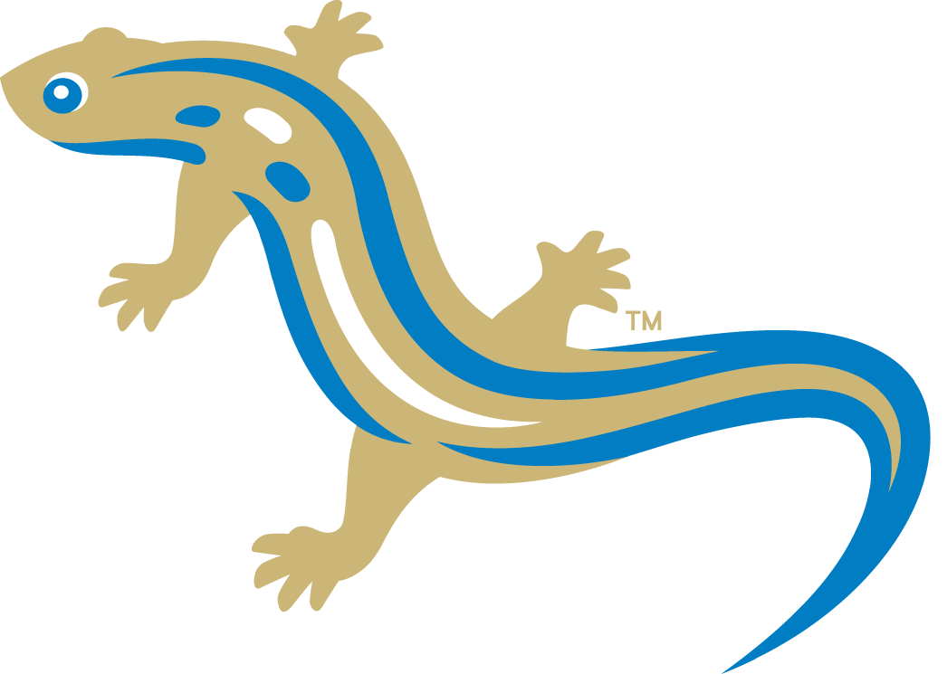 Holly Springs Salamanders 2015-Pres Secondary Logo v4 iron on heat transfer